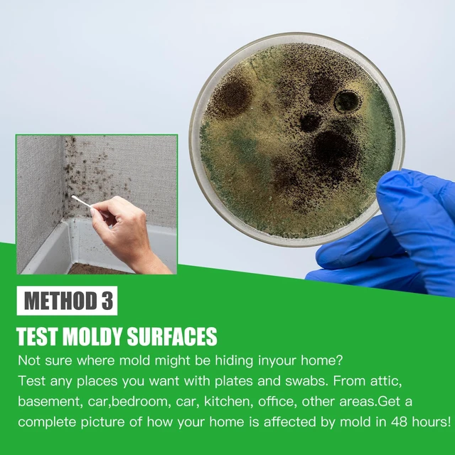 Alt view image 4 of 6 - Mold Test Kit for Home Within 12 Individual Tests,DIY Detector at Home, Surface Mold,HVAC,Indoor Air Quality Testing Kits,Black Mold Testing,Includes Detailed Mold Identification Guide and Free Lab