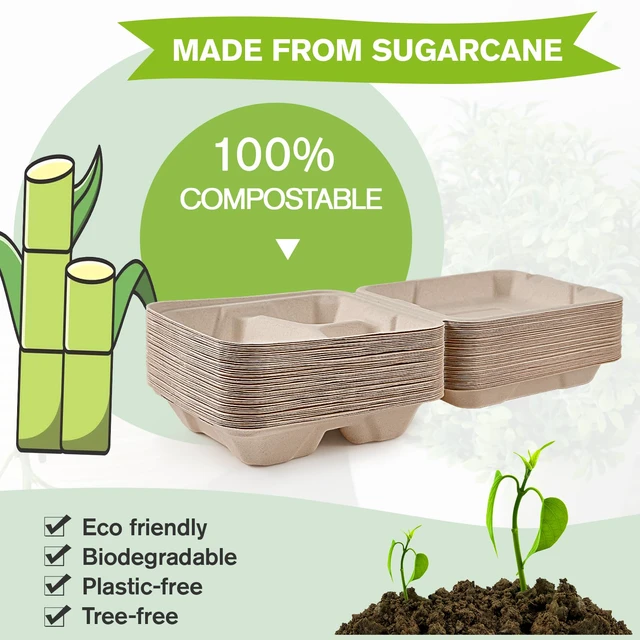 Alt view image 4 of 6 - 50 Pack Compostable Take Out Food Containers, 8 inch,3 Compartment Heavy-Duty Disposable To Go Boxes, Eco-Friendly Biodegradable To Go Containers For Food, Perfect for Next Day Lunch, Party