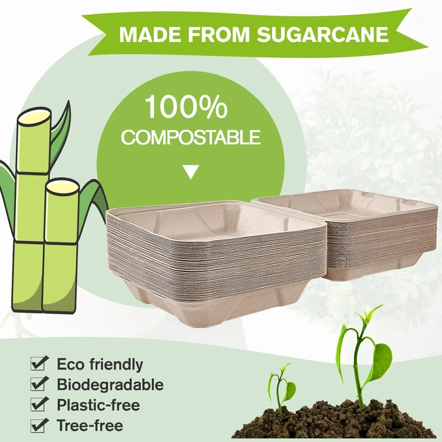 Alt view image 4 of 7 - 50 Pack Compostable Clamshell Take Out Food Containers, 8 inch Heavy-Duty Disposable To Go Boxes, Eco-Friendly Biodegradable To Go Containers For Food, Perfect for Next Day Lunch, Party
