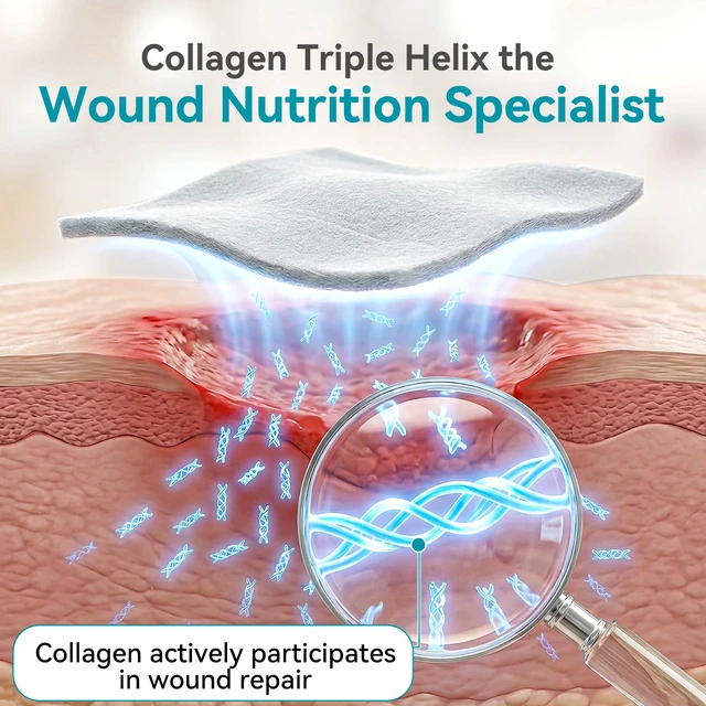 Alt view image 2 of 7 - Collagen Wound Dressing 2"X2" 5PCS 100% Bovine Type I Collagen Sponge, High Absorbency (4x Fluid), Biodegradable, For Chronic & Acute Wounds