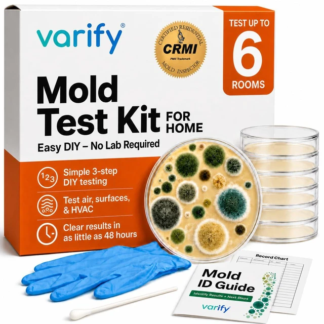 Main image of Mold Test Kit for Home Air Quality | Air Quality Test Kit & Black Mold Detector for Home | 6-Petri-Dish Indoor Airborne Spore Sampler | Easy-to-Use with Clear Instructions & ID Booklet