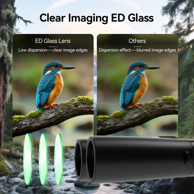 Alt view image 4 of 7 - Upgraded SV202 10x42 ED Binoculars for Adults 10x High Magnification Wide Field of View, Extra-Low Dispersion, BAK4 & FMC Optic System, IPX7 Waterproof, Clear, Bright, Distortion Free Low Light