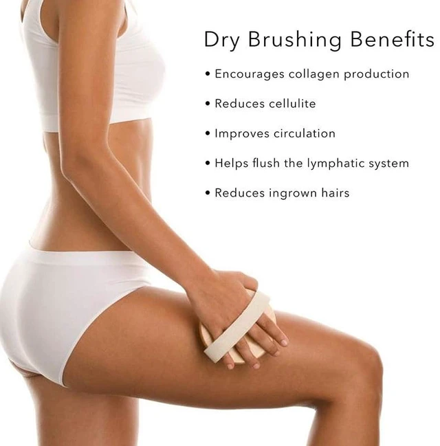 Alt view image 5 of 7 - Dry Body Brush - Natural Bristle Exfoliating Brush for Skin Renewal, Soft Bristles Antiskid Wooden Exfoliator Massage Body Scrubber Brush