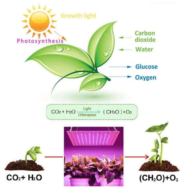 Alt view image 12 of 14 - Idealforce 2Heads LED Grow Light Full Spectrum Plant Growing Lamp for Indoor House Plants Hydroponics US Plug