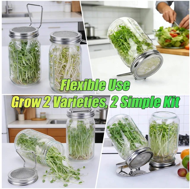 Alt view image 3 of 6 - 2 Pcs Sprouting Lids for Wide Mouth Mason Jars, Stainless Steel | Reusable Sprouting Jar Lids Kit with Built-In Stand, Broccoli Seeds Sprouts Growing Kit for Organic Alfalfa & Mung Bean