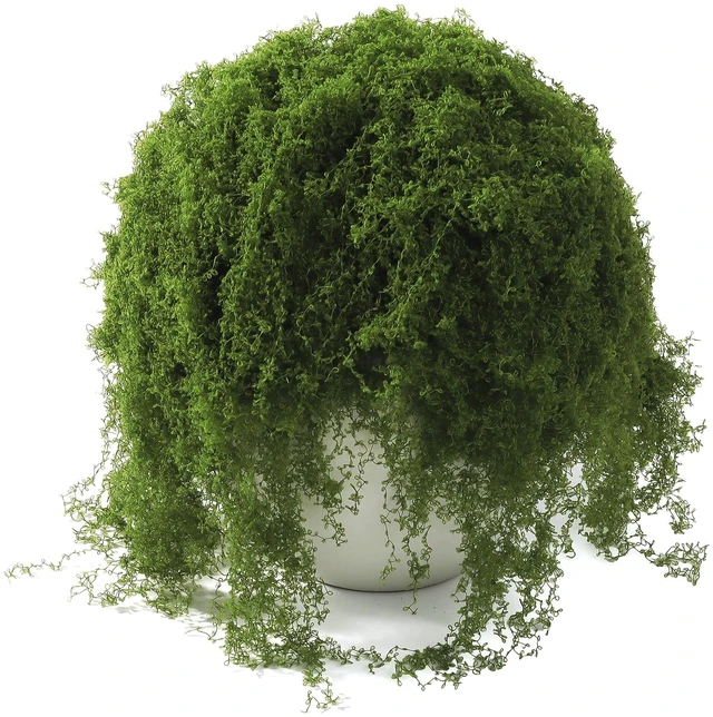Main image of Fake Moss for Potted Plants Indoor, 7oz Artificial Turf Grass for Crafts, Fairy Gardens, Dioramas, Terrariums, Dollhouses, Model, Miniature, Centerpieces, Party Table Decorations(Dark Green)
