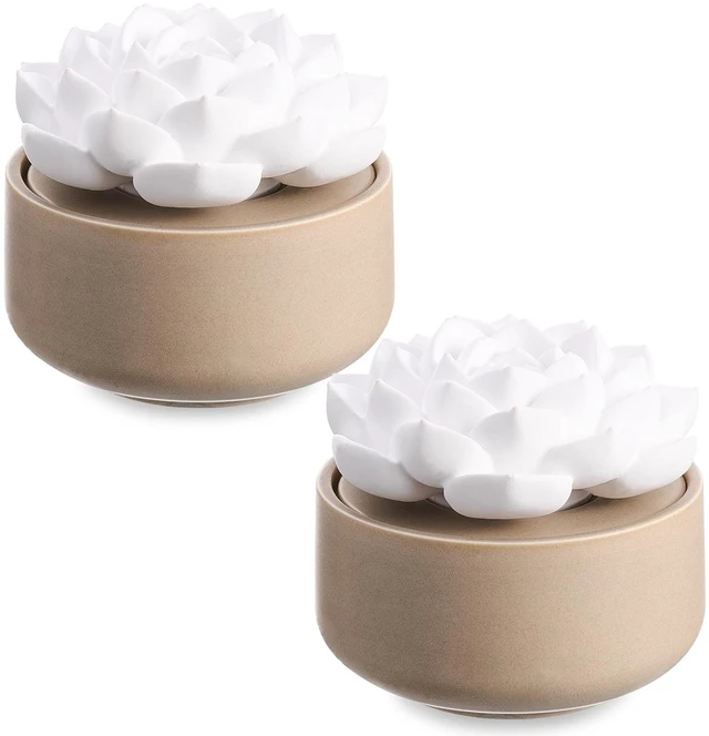 Main image of 2 Pcs Ceramic Essential Oil Diffuser, Non Electric,Succulent | Decorative Floral Home Fragrance Decor, No Noise, Home & Office Tabletop Decor for Desk, Bathroom, Bedroom, Birthday, Wedding