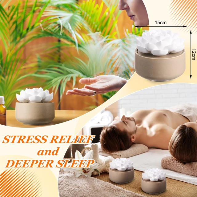 Alt view image 2 of 6 - 2 Pcs Ceramic Essential Oil Diffuser, Non Electric,Succulent | Decorative Floral Home Fragrance Decor, No Noise, Home & Office Tabletop Decor for Desk, Bathroom, Bedroom, Birthday, Wedding