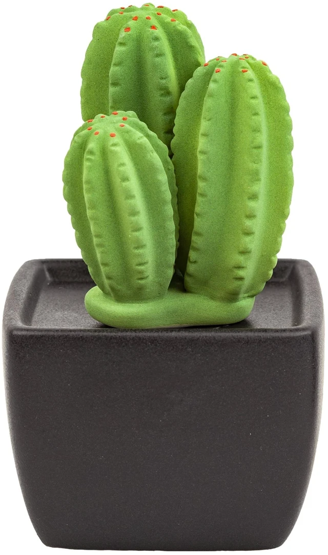 Main image of Tri Cactus, Non-Electric Ceramic Diffusers for Essential Oils and Aromatherapy Fragrance, White Ceramic Diffusers in Car or Desk Office Decor and Small Bathroom at Home, Black Vase