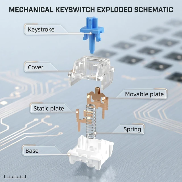 Alt view image 6 of 7 - 36Pcs Blue Mechanical Keyboard Switches 3-Pin Keyboard Clicker Clicky Tactile MechanicalKeyboard Switches Clicky Accurate Typing DIY Replacement Kit for 3D Prints GamingKeyboard