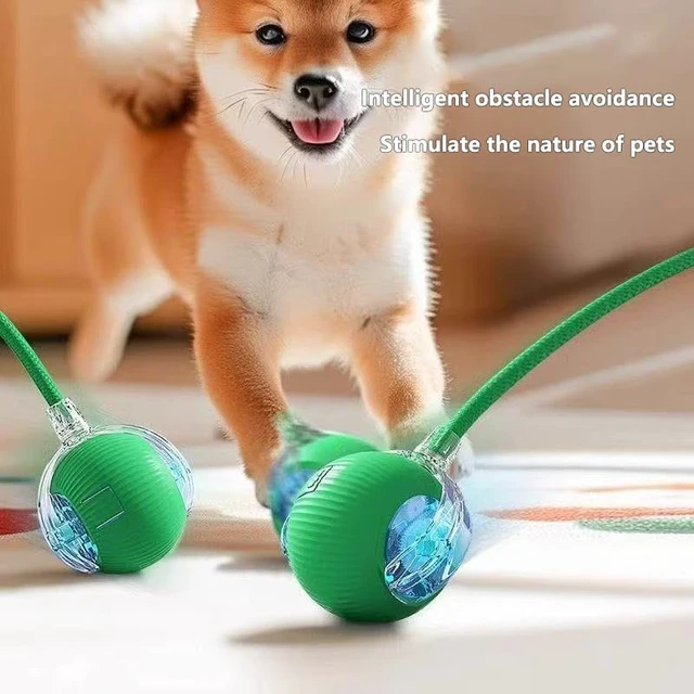 Alt view image 7 of 7 - Interactive Rolling Dog & Cat Toy - Smart 360° Automatic Electric Ball, Chewable & Self-Rolling, Viral Fun for Indoor Pets, Stimulates Exercise & Play, Ideal for Dogs and Cats (Green)