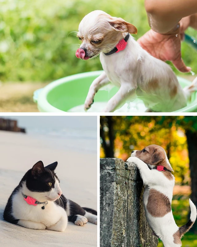 Alt view image 7 of 7 - Cat Collar Holder for Cats and Small Puppy Dogs, Hot-Pink, 1 Pack | Compatible with Apple AirTag, Fit 3/8 and 5/8 Inch Wide Collar, Easy to Clean, Slide On and Off, Soft Elastic Silicone