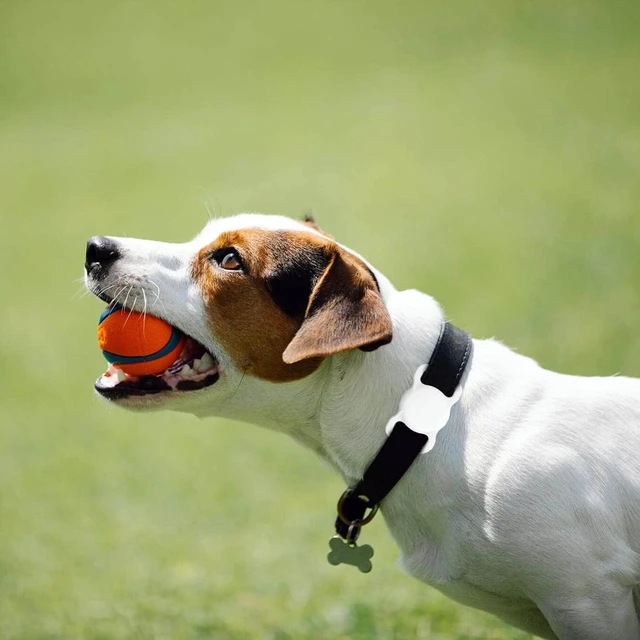 Alt view image 6 of 7 - for AirTag Dog Collar Holder Soft Air Tag Holder (Black&White) | Lightweight, Tool-Free, Fits Dog & Cat Collars, Waterproof