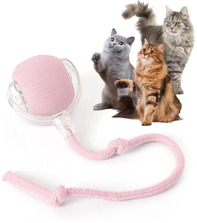 Main image of Durable Interactive Cat Toys for Indoor Cats (Pink, 01) | Smart Automatic Cat Chase Ball Toy, Upgraded Speedy Tail Kitten Toy for Bored Indoor Adult Pets