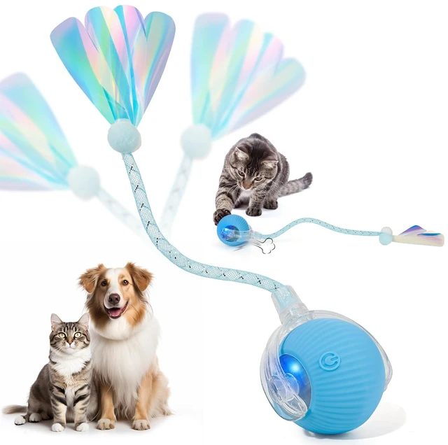 Main image of Interactive Cat Toys for Indoor Cats & Dogs, Agile Moving Cat Ball with Elastic Mesh Tail, Rechargeable Enrichment Toys, Smart Automatic Rolling Pet Ball Toys for Bored Indoor Dogs & Cats (Blue)