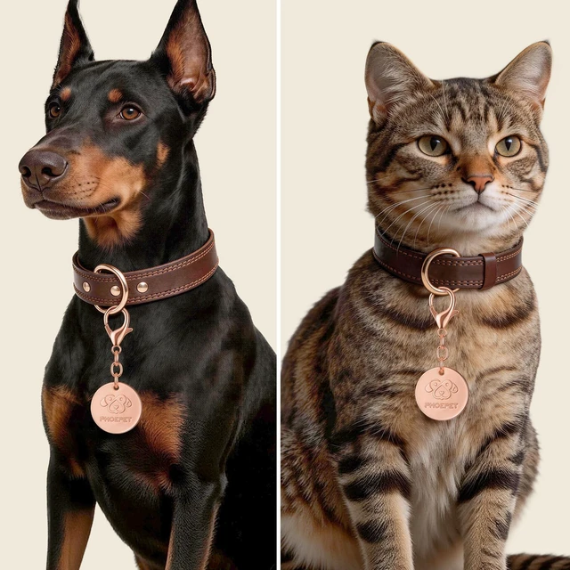 Alt view image 2 of 7 - QR Code Pet ID Tag for Dog and Cat Collar Scan | for Instant Owner Alerts & Emergency Contact, Modifiable Online Pet Profile, No App Needed, Waterproof Zinc Alloy(Rose Gold)