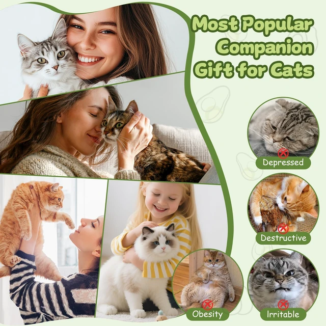 Alt view image 7 of 7 - Interactive Cat Toys for Indoor Cats,Electric Flying Bird & Mouse Wand Teaser, Automatic Hanging Door Frame Chase/Hunt/Exercise Stimulate String Cat Toy for Bored Indoor Adult & Kitten