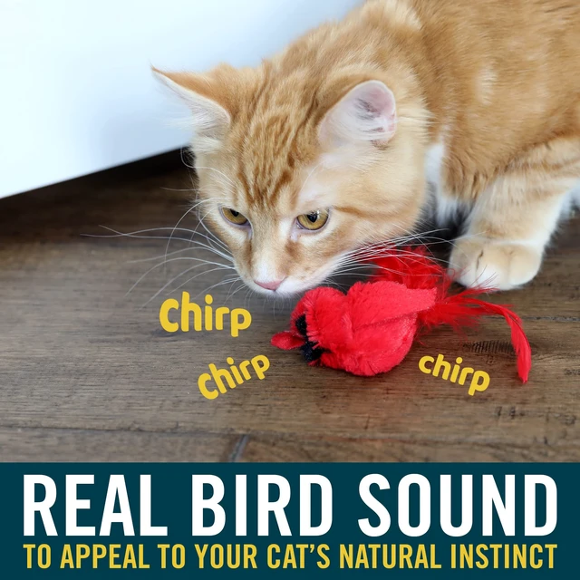 Alt view image 2 of 4 - Play-N-Squeak Real Birds Interactive Cat Toys with Catnip (Cat Toys for Indoor Cats; Catnip Toy for Cats with Bird Chirping Electronic Sound and Feather)