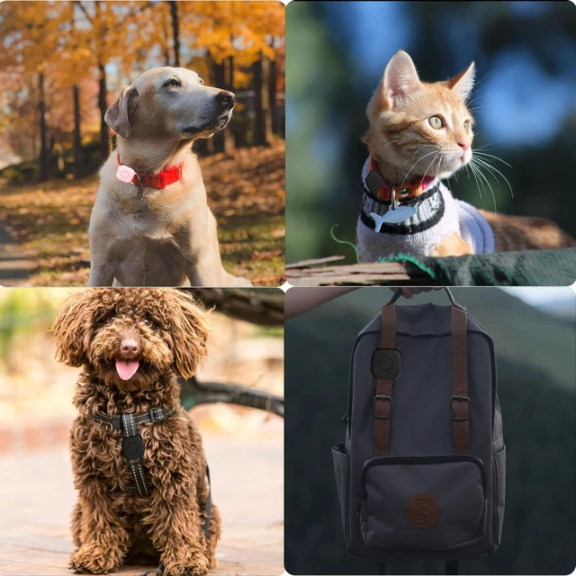 Alt view image 5 of 7 - Waterproof Dog Collar Holder Case for Tile Mate 2024/2022 Tracker, 2 Pack Anti Lost Soft Silicone Case for cat pet Necklace, Protective Cover Accessories for Tile Tracker (Blue/Orange)