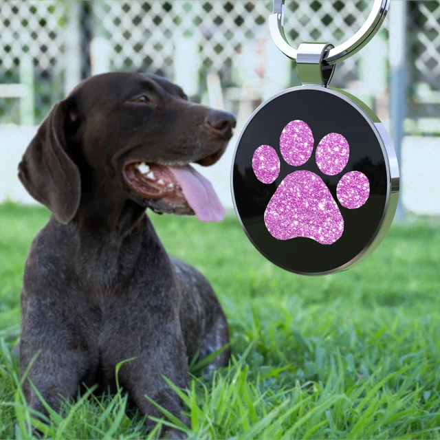 Alt view image 2 of 6 - QR Dog Tags Personalized for Pets Custom Dog Tags Dog Name Tag QR Code ID Tags Smart Pet ID Tags Free Online & Scan QR Receive Instant Location Alert Email