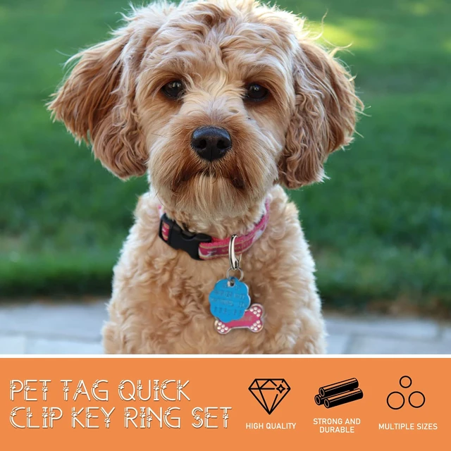 Alt view image 3 of 6 - 18 Pcs Dog Tag Clip Pet ID Pet Tag Quick Clip, 1.9/1.3/0.8 inch, Silver | Stainless Steel Combo for Secure Pet Id, Rust Proof Holder, Easy Clasp for Collar Harness, Quick Release for Dog