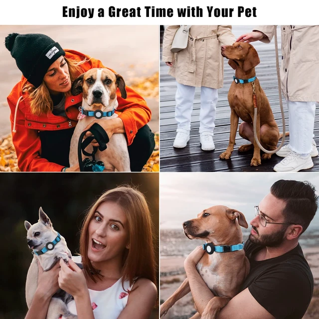 Alt view image 6 of 6 - Compatible with Airtag Dog Collar, Adjustable Air Tag Dog Collar with Durable Quick Snap Buckle, Imitation Nylon Dog Collar with Waterproof Apple Airtag Holder for Small Dogs (S6"-16", Blue)