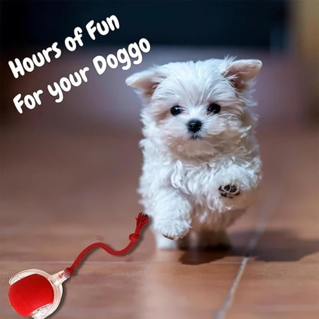Alt view image 2 of 5 - 2024 New Electric Dog Ball Toy for Cat,360° Smart Automatic Interactive Rolling Dog Smart Pet Toy Ball,Gift for Kids