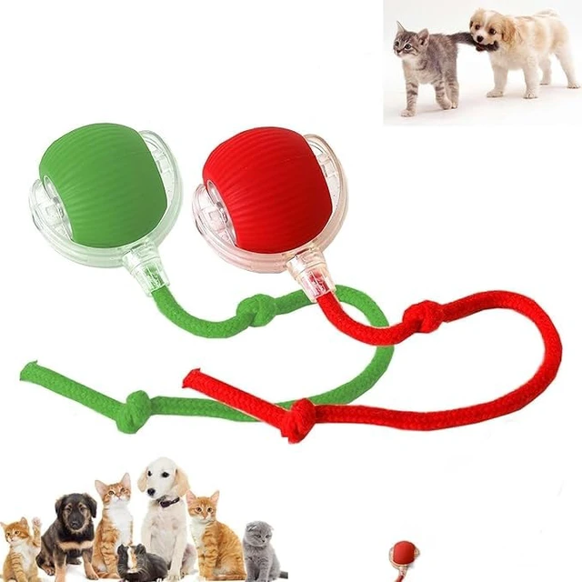 Alt view image 5 of 5 - 2024 New Electric Dog Ball Toy for Cat,360° Smart Automatic Interactive Rolling Dog Smart Pet Toy Ball,Gift for Kids