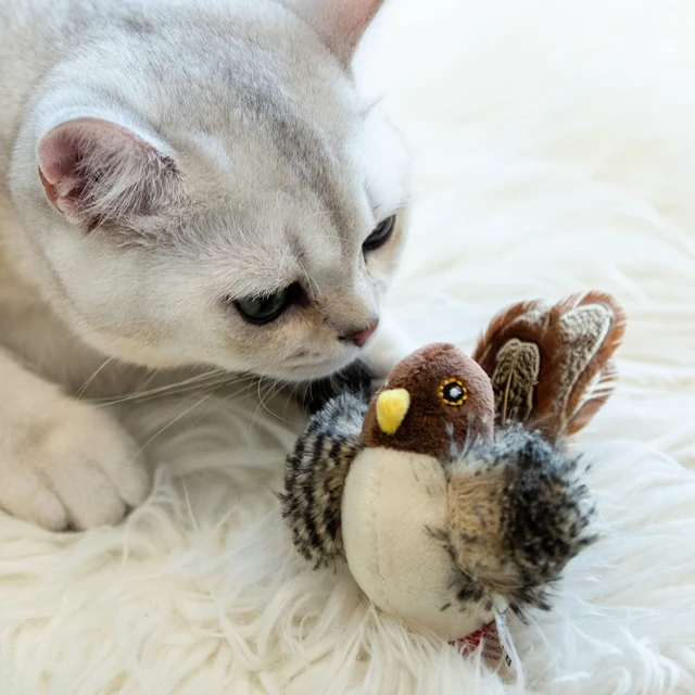 Alt view image 7 of 7 - Chirping Bird Cat Toy for Indoor Cats, Interactive Hangable Bird Cat Toy with Real Bird Sound and Feather, Automatic Bird Toy for Cats Exercise & Kicker to Self PlayNo Flapping