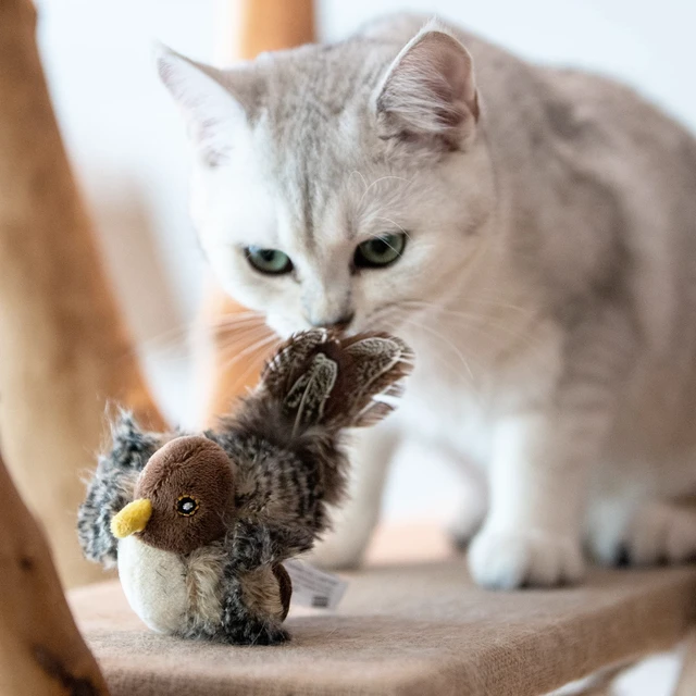 Alt view image 6 of 7 - Chirping Bird Cat Toy for Indoor Cats, Interactive Hangable Bird Cat Toy with Real Bird Sound and Feather, Automatic Bird Toy for Cats Exercise & Kicker to Self PlayNo Flapping
