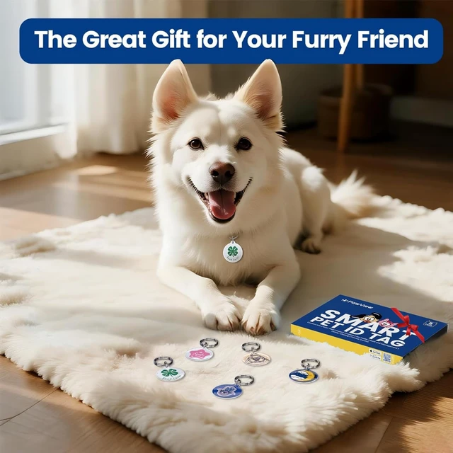 Alt view image 5 of 7 - 5 Pack QR Code Pet ID Tags for Dogs & Cats, Personalized Dog Tags | Smart Pet Tag, Editable Profile, Location Sharing, Scan Alert, Emergency Contact, No App Needed for Finder, No Subscription