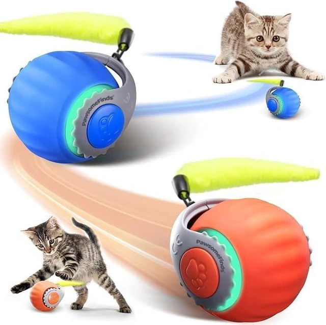 Main image of Interactive Cat Toy, 2-Speed Auto Ball, USB-C Rechargeable | Smart moving ball with tail offers 2 play modes, obstacle avoidance, and up to 6 hours of play for indoor cats.