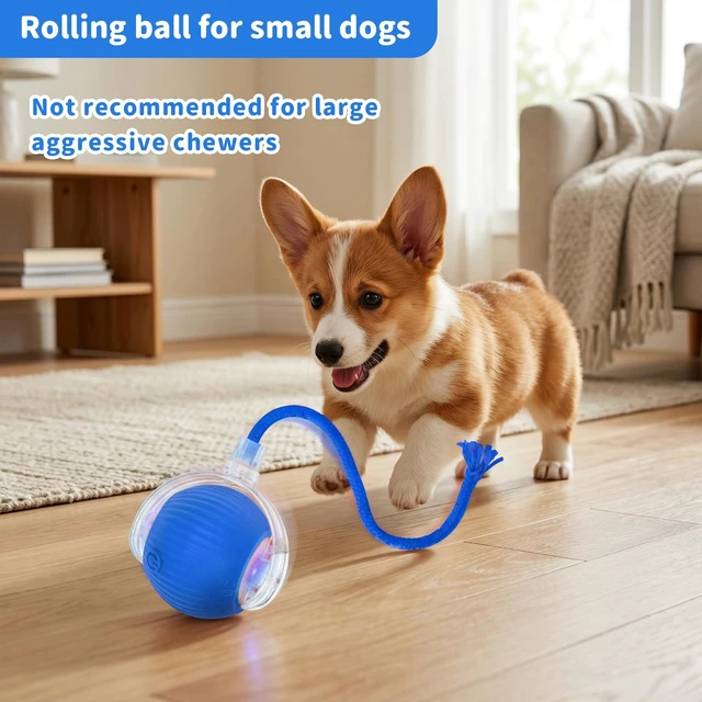 Alt view image 3 of 7 - Cat Toys for Indoor Cats Smart Automatic Bal Moving Chase Dogs Toy, Blue | Ball Rolling for Bored Kitten Pet, Upgraded Speedy Moving Chase Dogs Toy