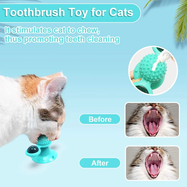 Alt view image 3 of 6 - Interactive Windmill Cat Toys with Catnip : Cat Toys for Indoor Cats Funny Kitten Toys with LED Light Ball Suction CupCat Nip Toy for Cat chew Exercise (Blue)