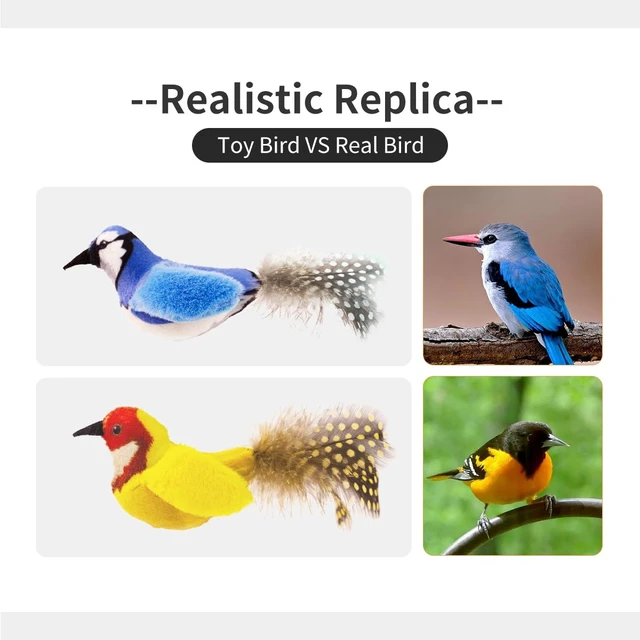 Alt view image 7 of 7 - Interactive Chirping Cat Toys with Catnip and Feather,3.5'',2Pcs | Match with Teaser,Realistic Chirping,Lifelike Bird,Natural Catnip,Indoor Kitty Kitten Exercise,Teething and Kicking