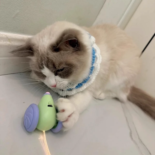 Alt view image 6 of 6 - Interactive Cat Toy, USB Rechargeable Rolling Mouse with LED, Automatic Motion-Activated Chase Toy, Quiet Indoor Exercise for Cats & Kittens