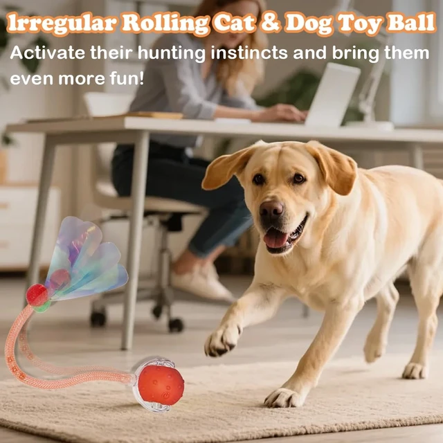 Alt view image 4 of 7 - 2Packs Interactive Cat Toys Ball for Indoor Cats, Smart Automatic Cat Chase Ball Toy, Generation Moving Cat Ball with Elastic Mesh Tail Motion Activated
