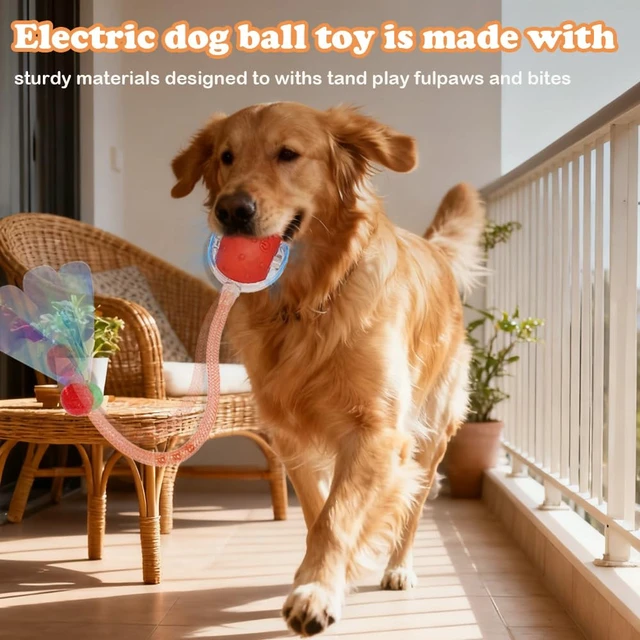 Alt view image 7 of 7 - 2Packs Interactive Cat Toys Ball for Indoor Cats, Smart Automatic Cat Chase Ball Toy, Generation Moving Cat Ball with Elastic Mesh Tail Motion Activated