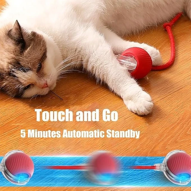 Alt view image 3 of 7 - 2 Packs New Electric Dog Ball Toy for Cat,360° Smart Automatic Interactive Rolling Dog Smart Pet Toy Ball,Gift for Kids