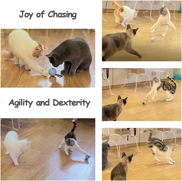 Alt view image 5 of 7 - Interactive Cat Ball Toy Set, Fun Tracker, Automatic Rolling Chase Ball with Fluffy Tail, A Small Mice, Rechargeable (White)