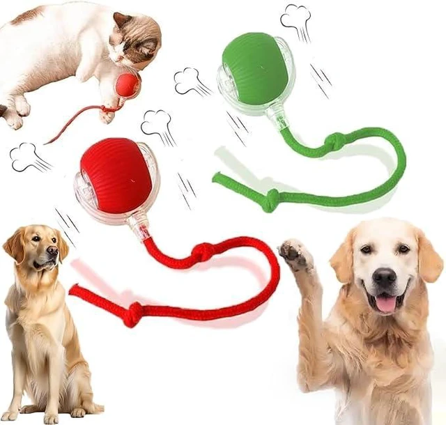 Main image of 2 Packs New Electric Dog Ball Toy for Cat,360° Smart Automatic Interactive Rolling Dog Smart Pet Toy Ball,Gift for Kids