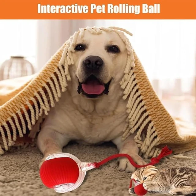 Alt view image 4 of 7 - 2 Packs New Electric Dog Ball Toy for Cat,360° Smart Automatic Interactive Rolling Dog Smart Pet Toy Ball,Gift for Kids