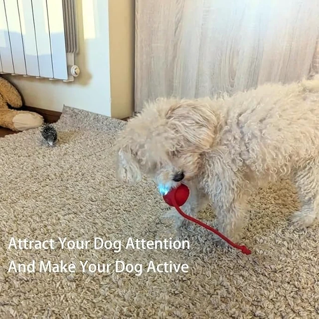 Alt view image 5 of 7 - 2 Packs New Electric Dog Ball Toy for Cat,360° Smart Automatic Interactive Rolling Dog Smart Pet Toy Ball,Gift for Kids