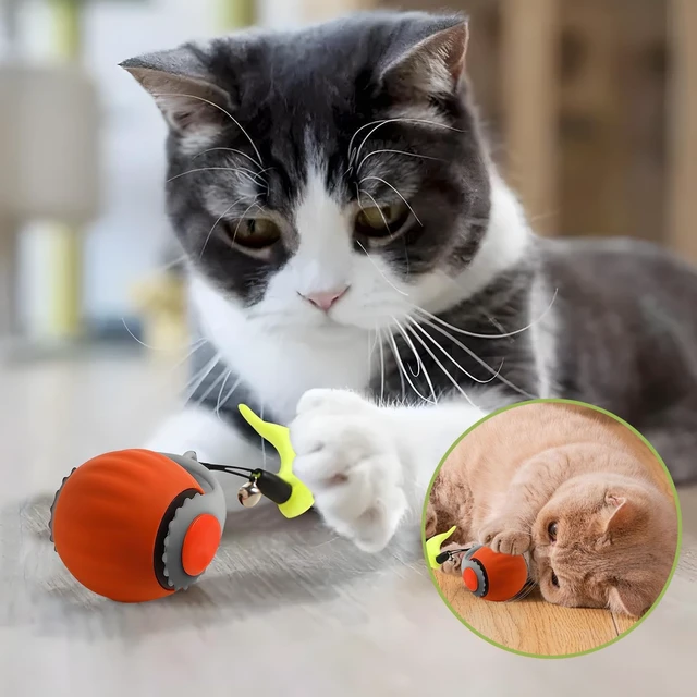 Alt view image 6 of 7 - 2 Pack Interactive Cat Toy Balls for Indoor Cats, Speedy Tail 3.0 | Cat Toy Two Speed Smart Automatic Activate Cat Toy Moving Ball with Tail for Bored Indoor Adult Cats (Orange + Blue)