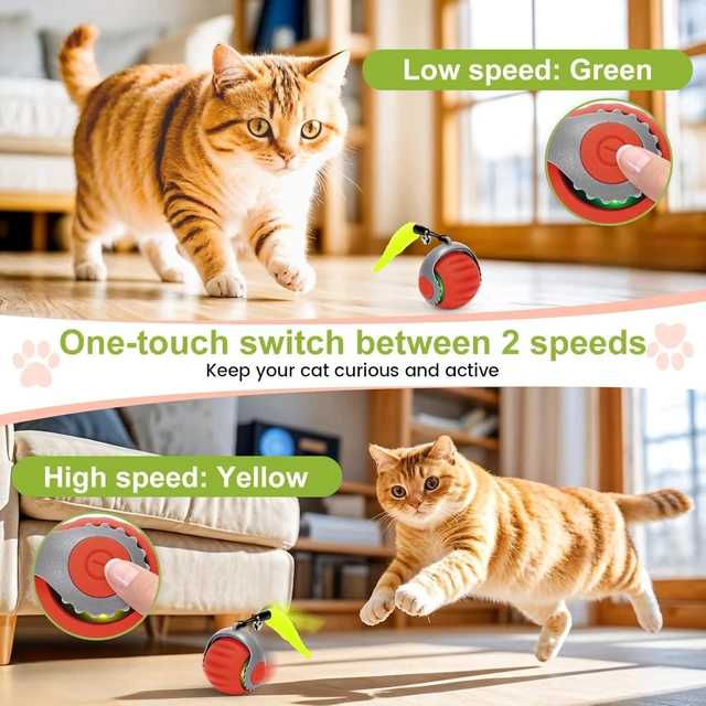 Alt view image 7 of 7 - 2 Pack Interactive Cat Toy Balls for Indoor Cats, Speedy Tail 3.0 | Cat Toy Two Speed Smart Automatic Activate Cat Toy Moving Ball with Tail for Bored Indoor Adult Cats (Orange + Blue)