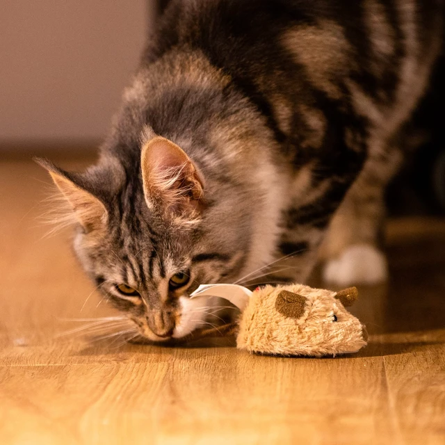 Alt view image 7 of 7 - Interactive Cat Toy Mouse, Moving Automatic Cat Toys Mice Electronic with Furry Tail, Automatic Squeaky Cat Toys for Kitten Indoor/Outdoor Exercise (Brown-Ear)