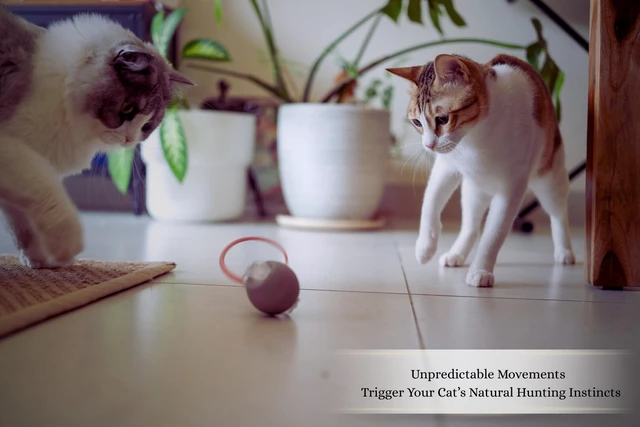 Alt view image 5 of 7 - Interactive Cat Toys for Indoor Cats | Premium Quality with 3 Detachable Tails | Automatic Speed Modes with Real-Motion Movement | Rechargeable | Fun for Bored Adult Cats and Kittens