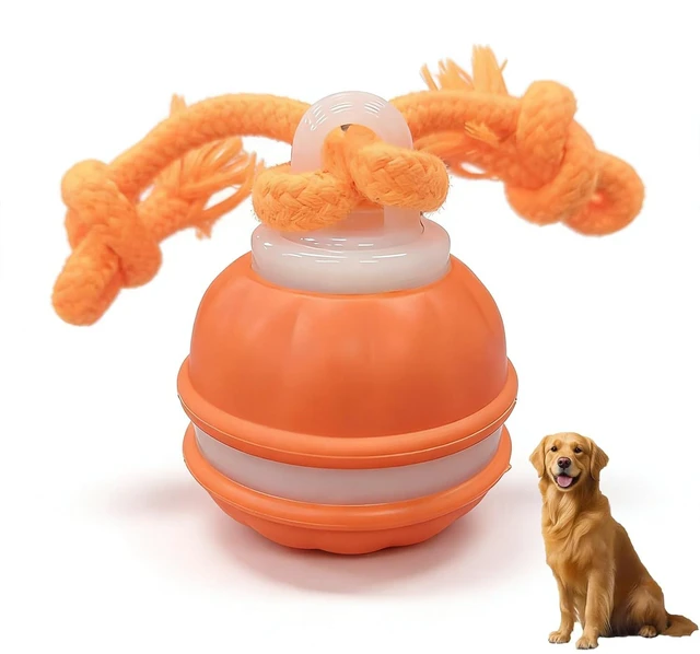 Main image of Zealburst Interactive Dog Toy Ball, 2026 Upgraded Motion Activated Rolling Ball with Squeaky Sounds, 360° Smart Automatic Moving Toy for Bored Cats & Dogs, Indoor & Outdoor Pet Exercise Toy (Orange)