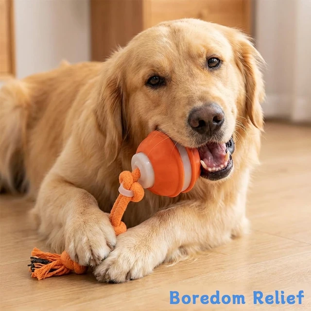 Alt view image 2 of 7 - Zealburst Interactive Dog Toy Ball, 2026 Upgraded Motion Activated Rolling Ball with Squeaky Sounds, 360° Smart Automatic Moving Toy for Bored Cats & Dogs, Indoor & Outdoor Pet Exercise Toy (Orange)