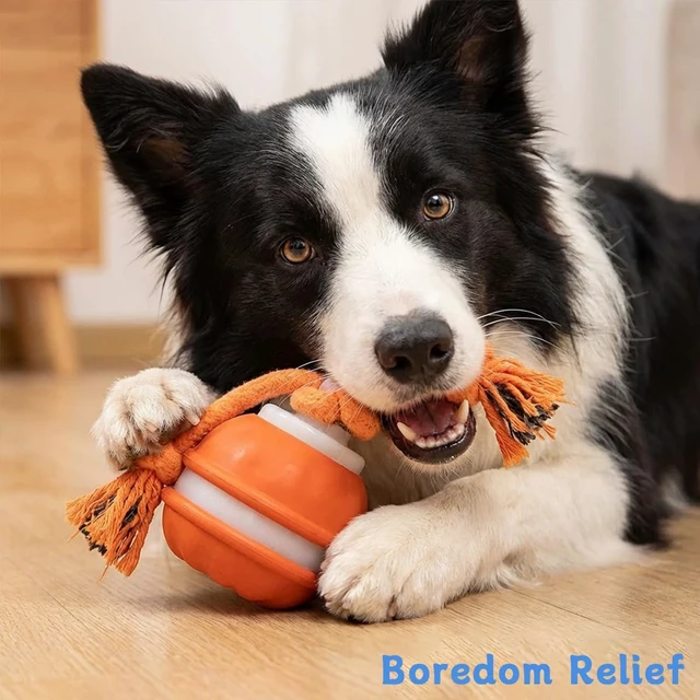 Alt view image 6 of 7 - Zealburst Interactive Dog Toy Ball, 2026 Upgraded Motion Activated Rolling Ball with Squeaky Sounds, 360° Smart Automatic Moving Toy for Bored Cats & Dogs, Indoor & Outdoor Pet Exercise Toy (Orange)